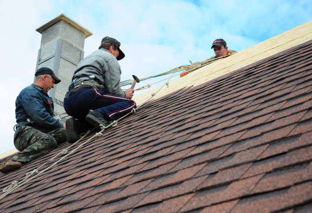 Best Roof Gutter Cleaning  in West Concord, MA